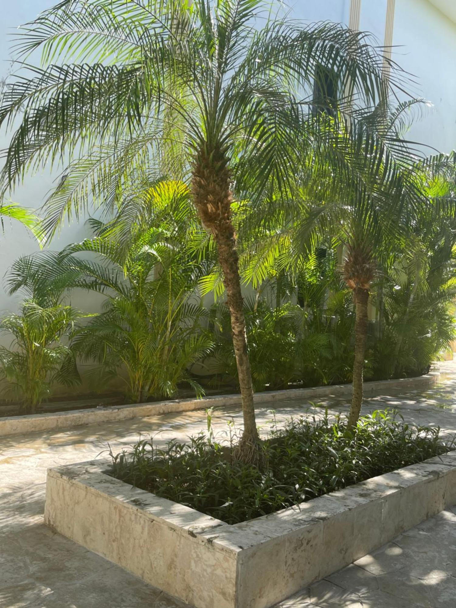 Hotel Plaza Brisas Mt Punta Cana Exterior photo